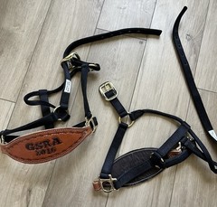 Bronc-Style Horse Halters Rodeo Leather Brass Nosebands GSRA 2016 Custom