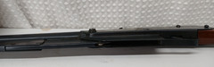 VTG DAISY MODEL 25 WARDS HAWTHORNE MALLARD DUCK STAMP EDITION BB GUN RIFLE