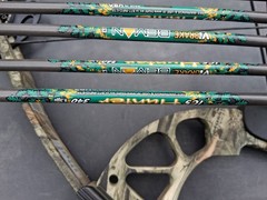 PSE Stinger Compound Bow