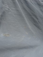 81” Bucas Buzz Off Full Neck Horse Fly Sheet – Used