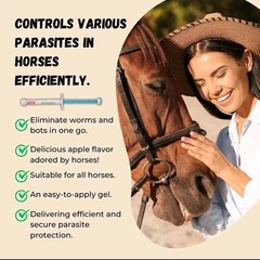 10 Pack New Paste Wormer Horse Dewormer Apple Flavor US Free Shipping EXP01/2028