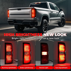 Tail Light Assembly Compatible with 204 205 206-209 Chevy Silverado 500 2500HD 3