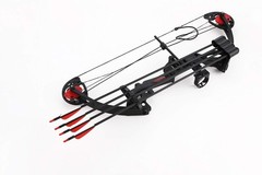 Compound Bow Archery for Youth and Beginner, Right Handed,19”-28” Draw Length…