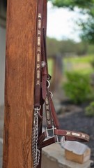 Vintage MacPherson Los Angeles Sterling Silver Show Halter & Matching Lead Shank