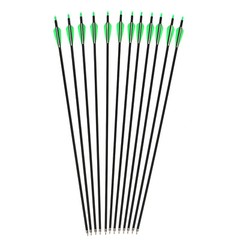 12 Pack 30 inch Carbon Arrows SP500 Archery Hunting For Compound & Recurve Bow