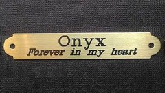SADDLE PLATE 2 1/2″ x 3/8″ Custom Engraved Solid Brass Bridle or Brow
