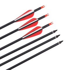 Elong 6/12PCS 26/28/30″ Arrows for Compound Bows,Carbon Hunting Arrows for Ar…