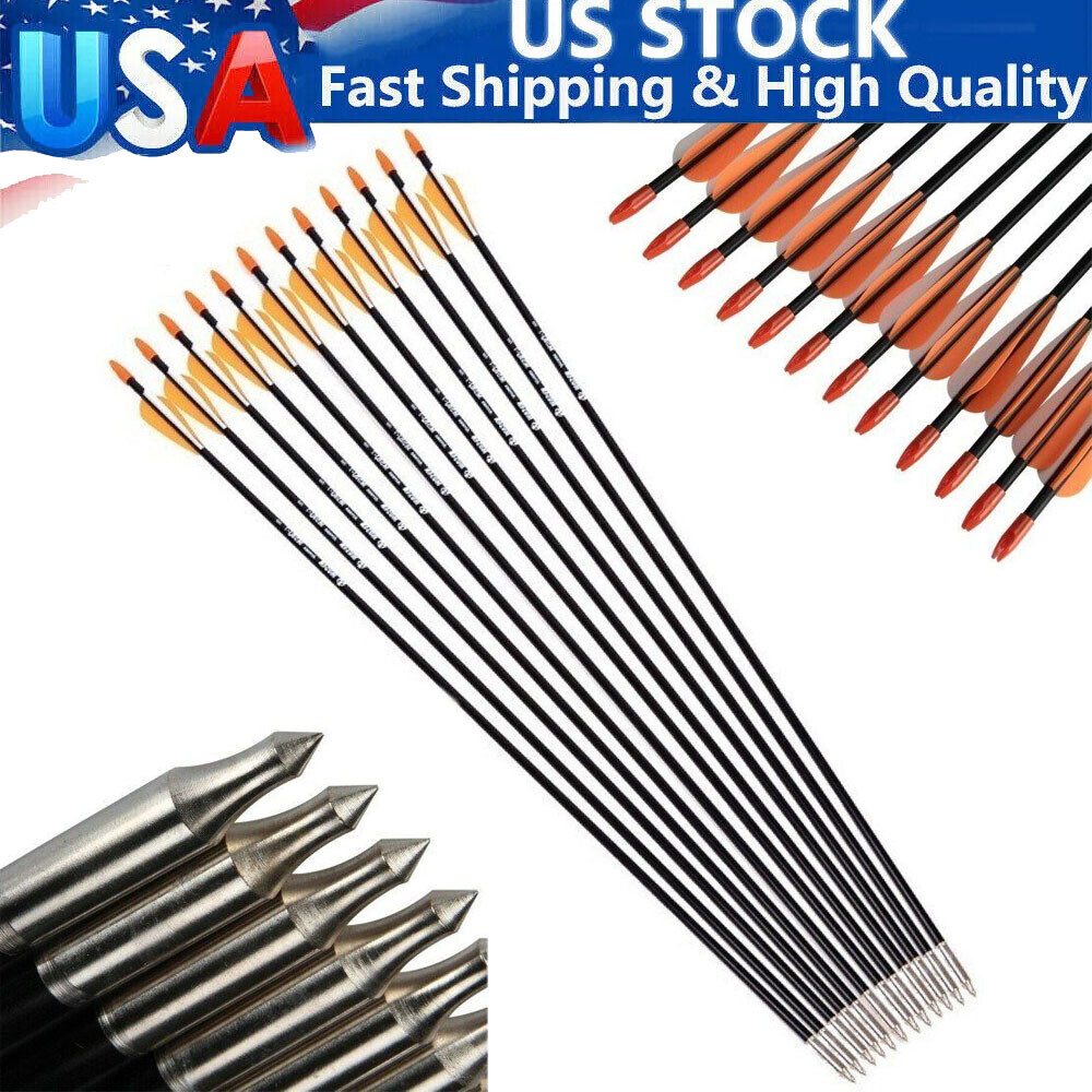 12Pcs 31 Inch Archery Fiberglass Target Practice Arrows for Recurve Compound Bow