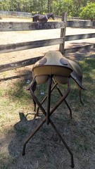 Wintec All Purpose 19 in Brown English Horse Saddle for Riding Training