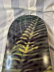Element Skateboard Deck Gabriel Fortunato Jungle Rare Made In Spain 8” x 31.75”