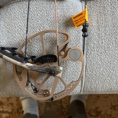 bear paradox compound bow