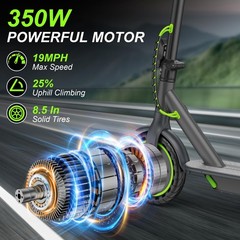 Adult Electric Scooter 350W 19MPH 19Miles Range 10.5Ah Battery Folding App Green