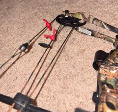 Bear Whitetail II Compound Bow Youth and Women Right Hand with Upgrades and Case