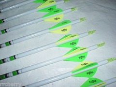 12 Gold Tip XT Hunter 400 Carbon Arrows Custom White Dip Crest/Blazer Vanes