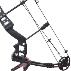 30-55lbs Compound Bow Archery 310FPS Pulley Bow Arrow Set RH Hunting Shooting
