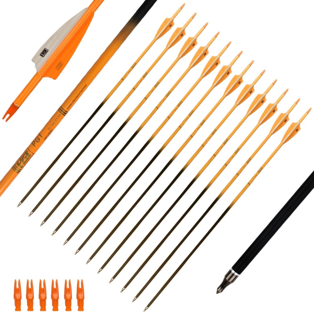30Inch Carbon Arrows for Hunting Archery Removable Tips Spine 400 with 3“ Van…