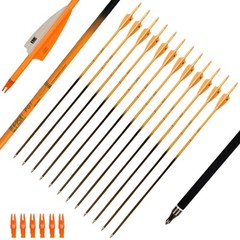 30Inch Carbon Arrows for Hunting Archery Removable Tips Spine 400 with 3“ Van…
