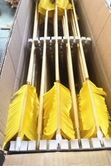 50pcs Archery Pine Wood Shafts 80cm dia8mm Wooden Arrow Outdoor Target Shoot