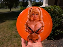 New Custom Streamline Neutron ENGINE 175gm Distancce Driver PDGA Approved