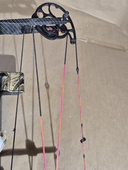 ATHENS ACCOMPLICE 34 BOW W/ BLACK GOLD 7 PIN SIGHT VAPOR TRAIL REST A (293192-1)