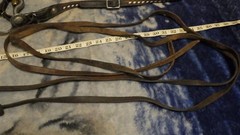 Vintage Leather One Ear Headstall Engraved Cricket Curb Bit Crockett Renalde