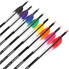 28″ 30″ 31″ Archery Carbon Arrows SP500 Feather Screw-in Tip Recurve Bow Hunting