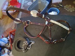 used horse show halter silver
