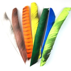 50pcs Archery RW Fletches 18-25cm Turkey Feather DIY Traditional Hunting Arrows
