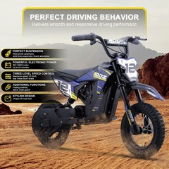 MotoTec 36v 300w Electric Dirt Bike – Multi Colors – Lithium Battery – HP122E