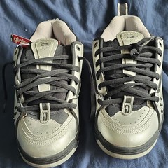 Globe Chet Thomas IV LTD Skateboarding Shoes Silver Men’s US 11 D SUPER RARE