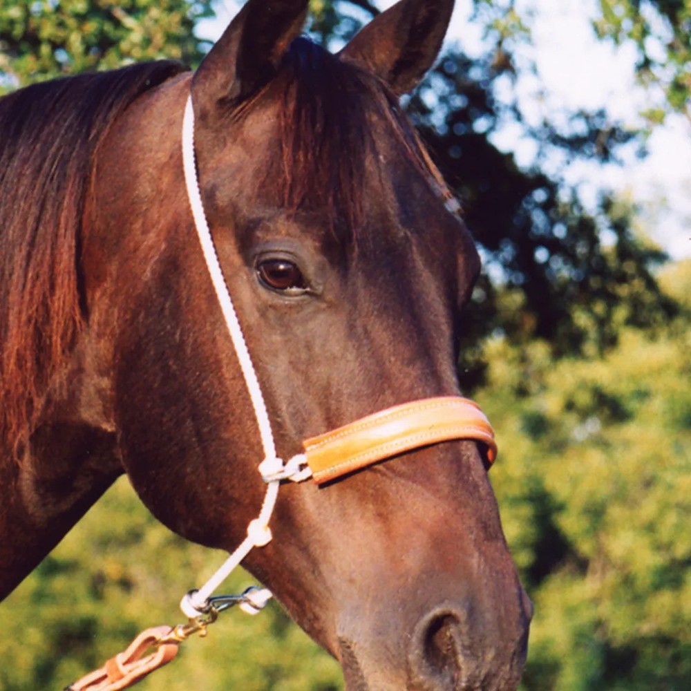 Classic Equine Headset Tiedown – 3/8” Hard Nylon Double Rope with Leather Cover