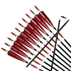 12Pcs 30″ Carbon Shaft Arrows Spine 500 OD 7.6mm True Turkey Feathers Hunting