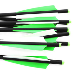 12/24 PACK 20 inch Hunting Carbon Crossbow Bolts Half Moon Nocks OD 8.8mm Arrows