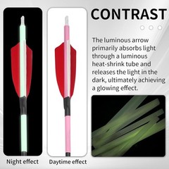 12 Pack Carbon Arrow Practice Hunting Arrow, 30″ Glow in Dark, Detachable Tip