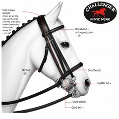Horse Western Horse Western English Tack Black Leather Bitless Sidepull Bridle