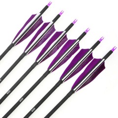12pc 30″ Carbon Arrows Turkey Feathers SP500 Compound Recurve Bow Hunting Target