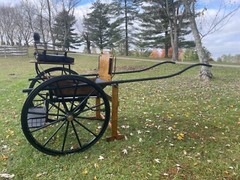 Imported Bennington 2 Two Wheel Horse Cart Carriage Driving Presentation Vehicle