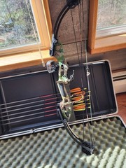 Alpine Archery USA Right-Hand Target Compound Bow 50lb 28in 33.5in Alum