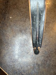 Vintage Bear Glass Powered Grizzly Recurve Archery Bow GC281 62″ 51#