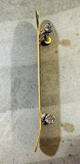 Dogtown For Life Longboard Skateboard Complete Set