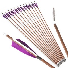 31″ Pure Carbon Arrows Feathers SP340 400 500 600 Compound Recurve Bow Hunting