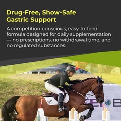 GastroMend XC, 100% Natural Equine Stomach Health for Horses, Promotes Healin…