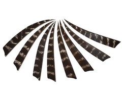 50pcs Turkey Feather Fletching 4» / 5» Right Wing Arrow Feathers Vanes for …