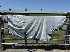 80” Bucas Buzz Off Full Neck Horse Fly Sheet – Used