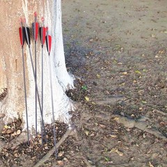 Archery Carbon Arrows 400 Spine with 4” Real Feather Fletching 100 Grain P