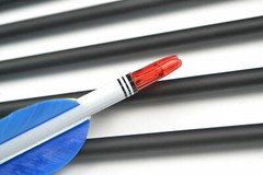 30″/32″ Turkey Feathers Carbon Arrows Spine500 for Compound Recurve Bow Hunting