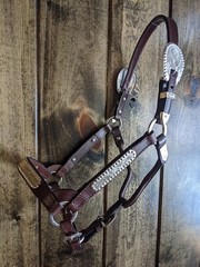 Dark Oil Yearling Show Halter – Congress Cut Silver – Matching Lead Shank