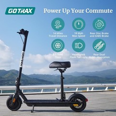 Lightweight Fusion Seat Scooter with 300W Motor – 8.5″ Tires, 264 lbs Capacity