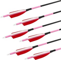 12 Pack Carbon Arrow Practice Hunting Arrow, 30″ Glow in Dark, Detachable Tip