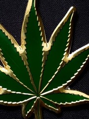 MARIJUANA LEAF METAL STICKER «GOLD N GREEN» 2 1/2 X 2 1/2″ PRETTY FRESH LOOKING